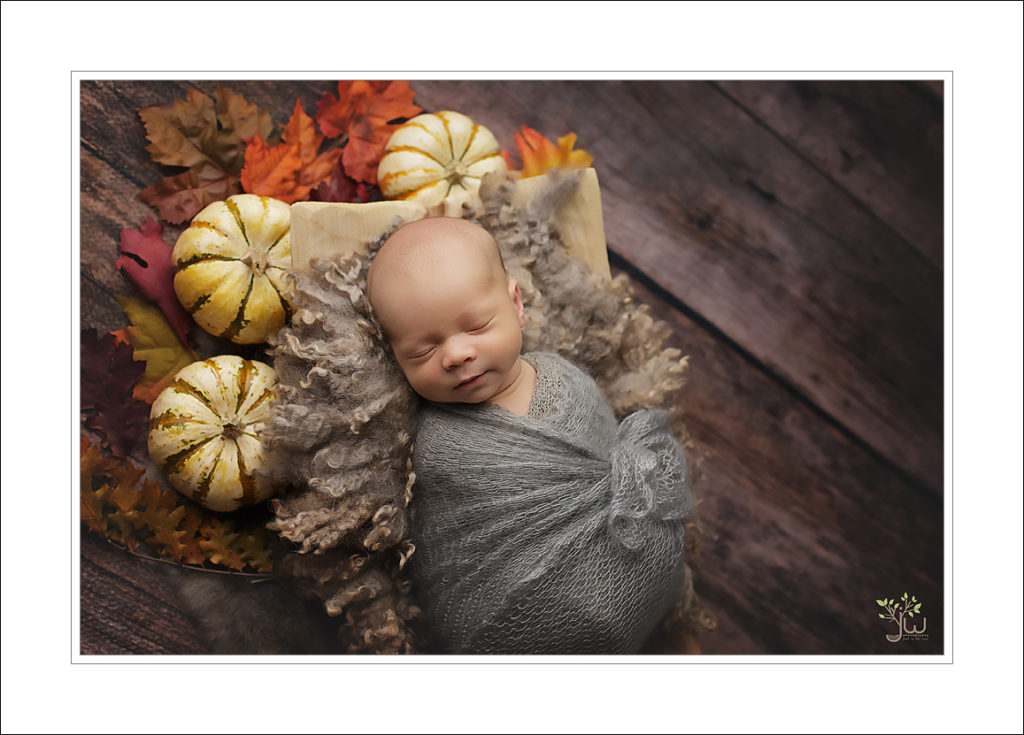 Best University Place newborn photographer